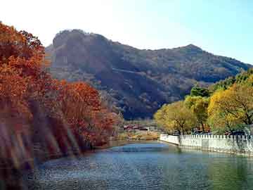 澳门天天开奖免费资料，佛山到山东物流